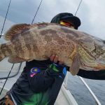 ikan1
