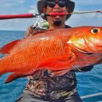 ikan2