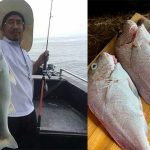 ikan3