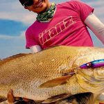 ikan5