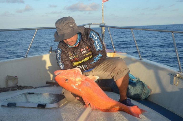 Tip Menjinakkan Ruby Snapper!!