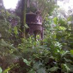 IMG-20131117-00338