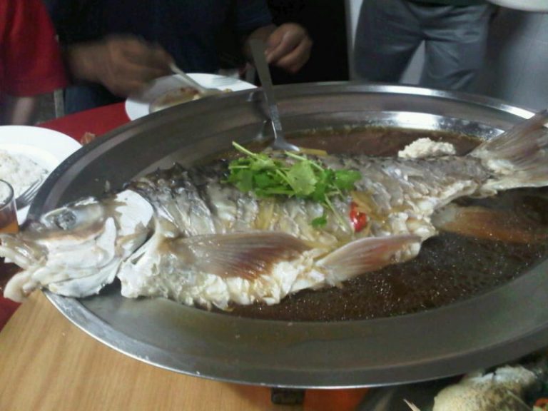 Khasiat Ikan Kelah Yang Patut Diketahui