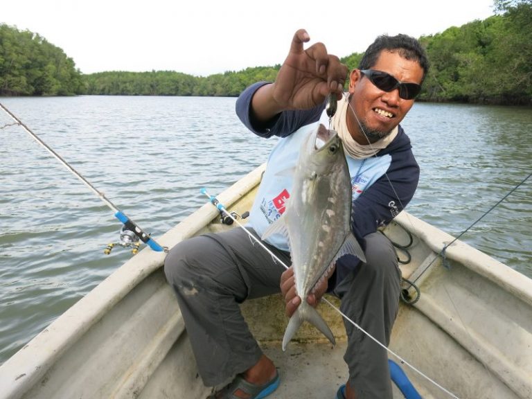 Info Spesies – Kenali Ikan Talang (update)