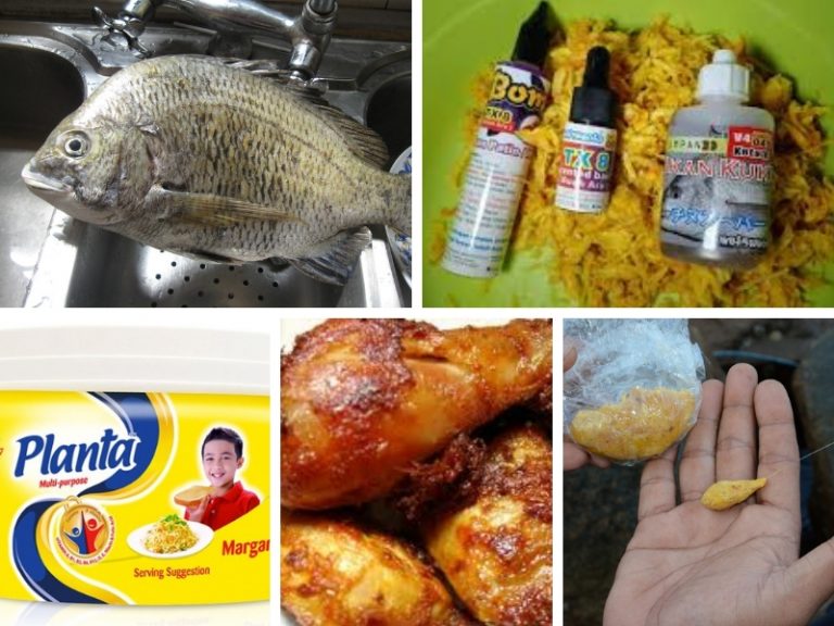 Cara mudah buat umpan ikan kuku!!