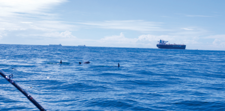 Berkenalan Dengan Zeezone Selat Melaka