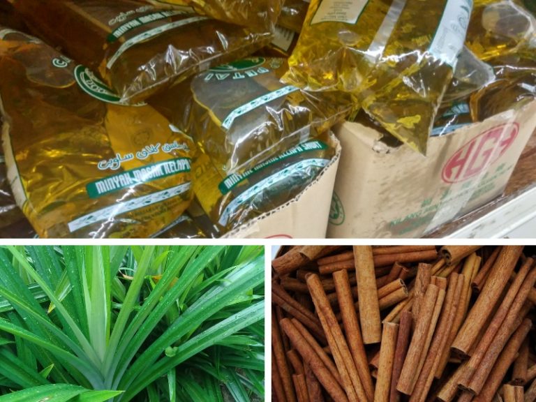 Cara Menghasilkan Umpan Minyak Pandan Wangi!!