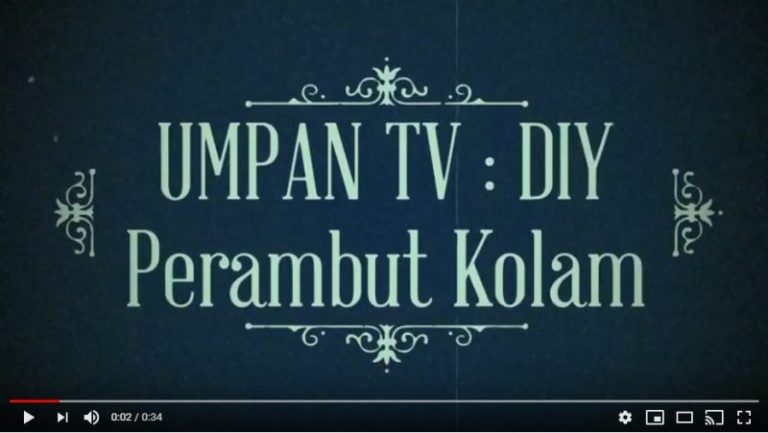 Kelas Asas Memancing – Perambut Kolam Popular (VIDEO)!!
