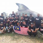 UMP_20170831_1_1_20374487_1475593722502906_7536698126936330634_n