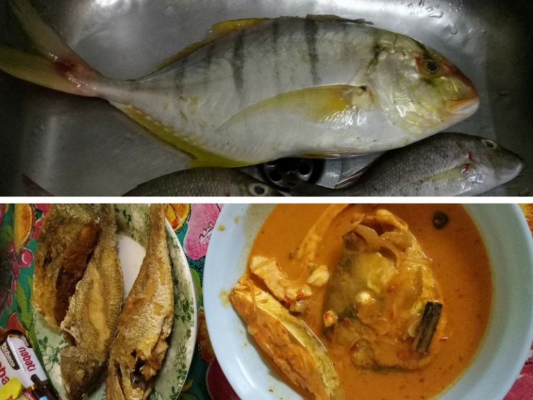 Resepi Pemancing – Gulai Ikan Gerong