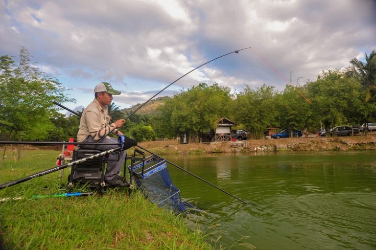 Apa Itu Coarse Fishing? - Umpan