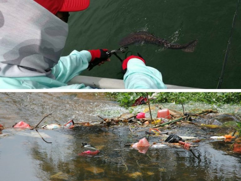 Etika Memancing Ekstra : Tangkap Lepas & Pemuliharaan Alam