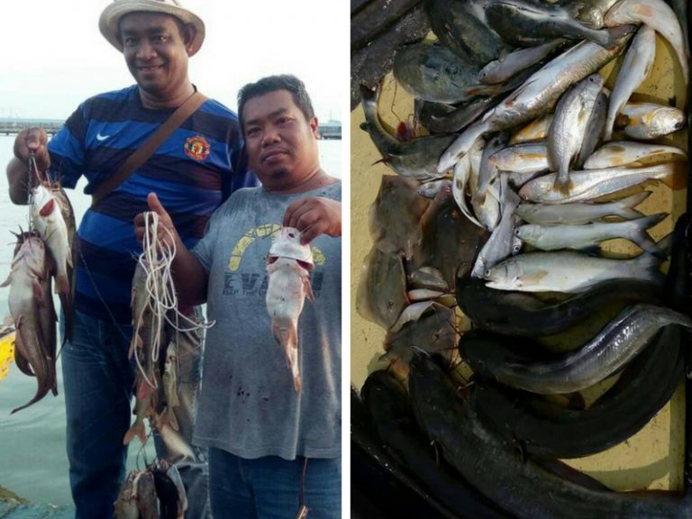 Menebing Cari Sembilang Bagan Hailam