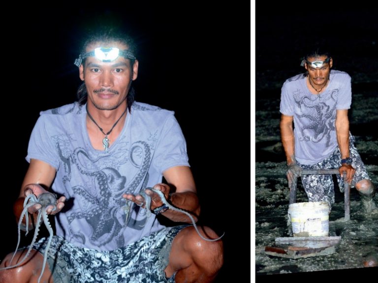 Taktik & Teknik Mencari Sotong Kurita *