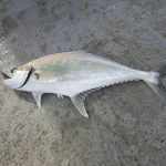 IMG_0203