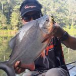 UMP_20170914_1_1_steroid 1