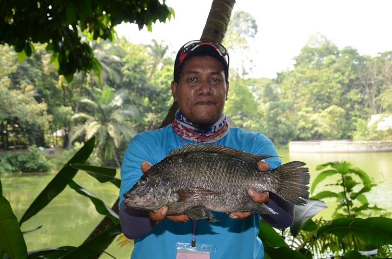 Rahsia Memancing Ikan Tilapia!!