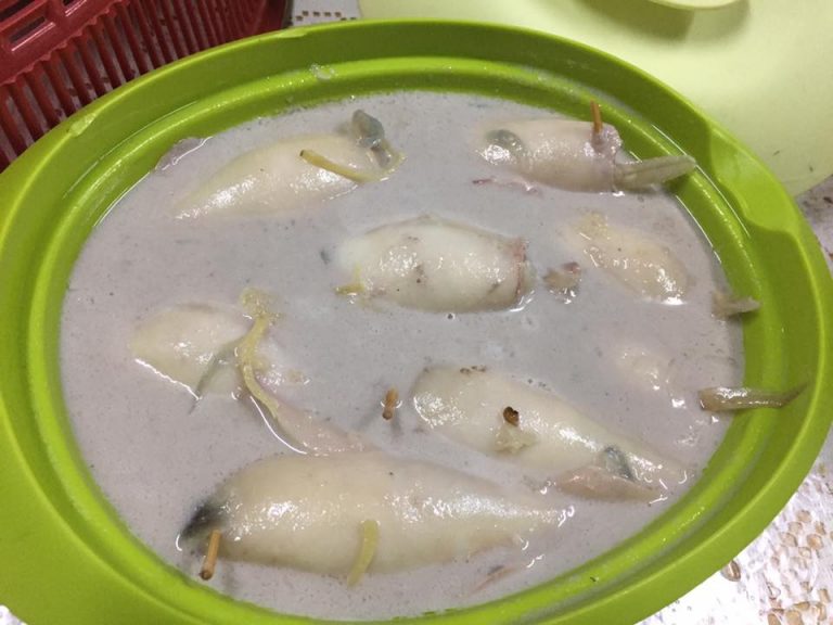 Resepi Ketupat Sotong Ala Pulau Kapas