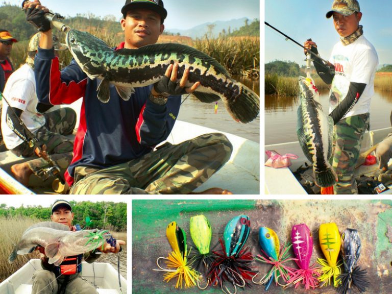 Dentuman ‘NAGA’ Tasik Chini!!