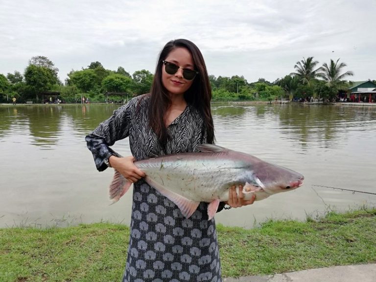 Ilmu Pancing Kolam: Panduan Mengendalikan Ikan!!