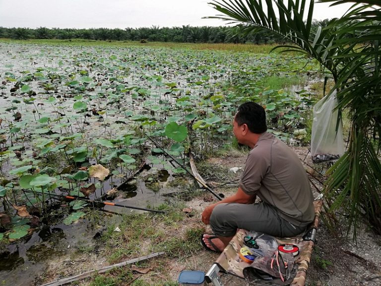 Rahsia Memancing Puyu Liar!!