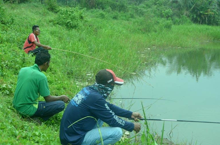 Taktikal Memancing Sepat Siam1!!