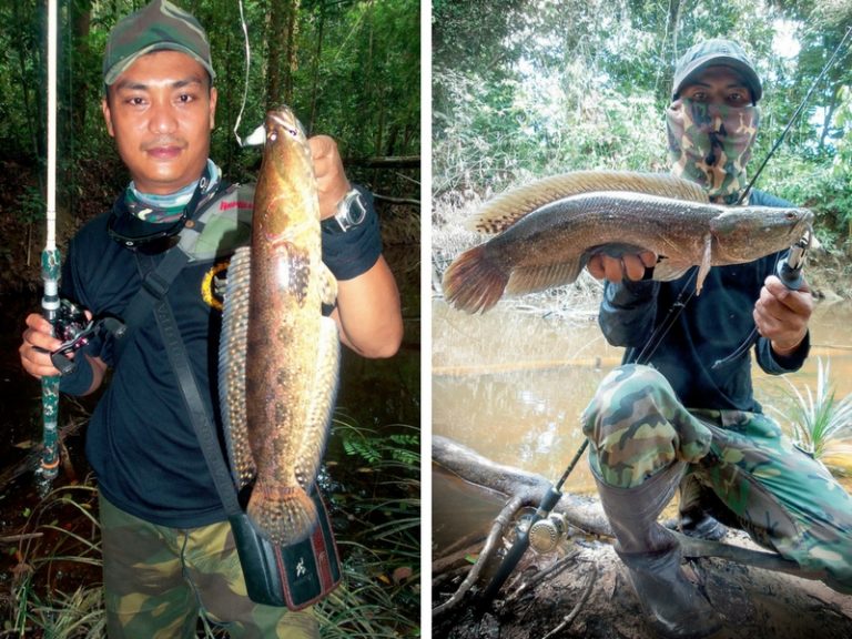 Menjejak Bujuk Dalam Hutan Ceruk
