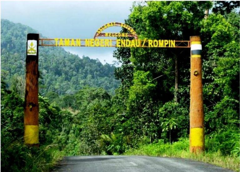 Informasi Padang Pancing – Taman Negara Endau Rompin