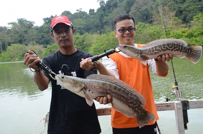 Korang Tanya Umpan Jawab -S8S24- Setting perambut Tasik Kenyir?