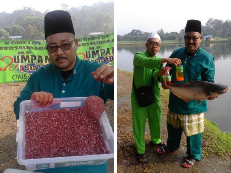 Umpan Patin Minyak Durian