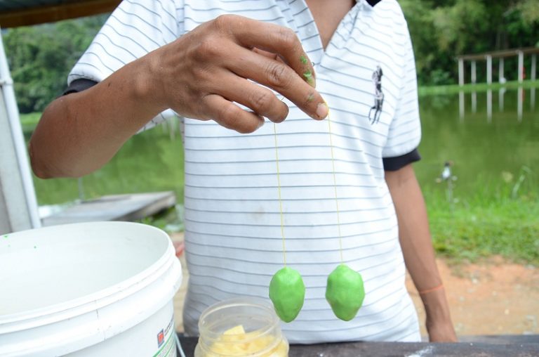 Umpan Tepung Minyak Serai *