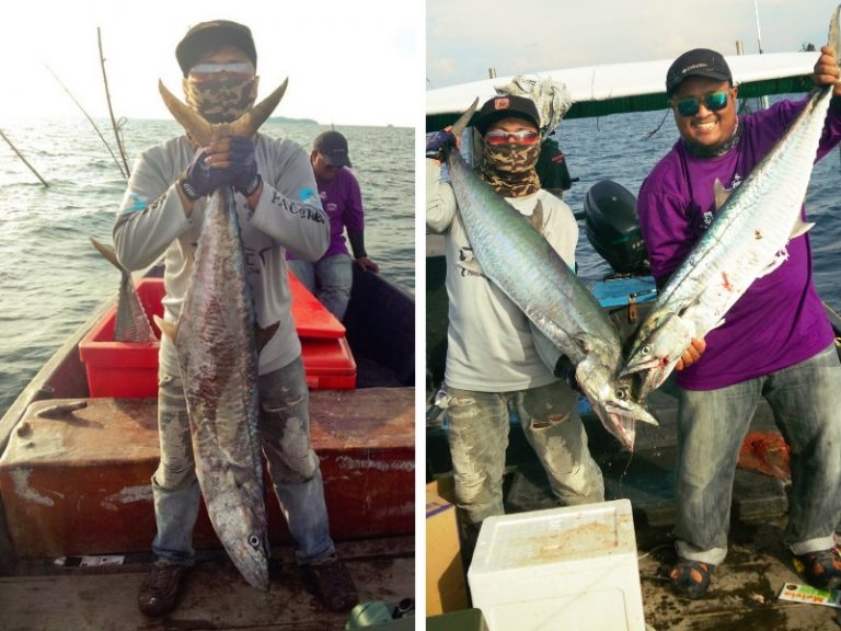 Berkenalan Dengan Tenggiri Pulau Payar