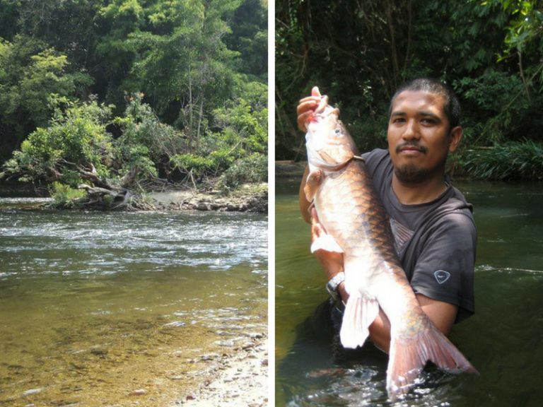 Rahsia Memancing Ikan Kelah!!