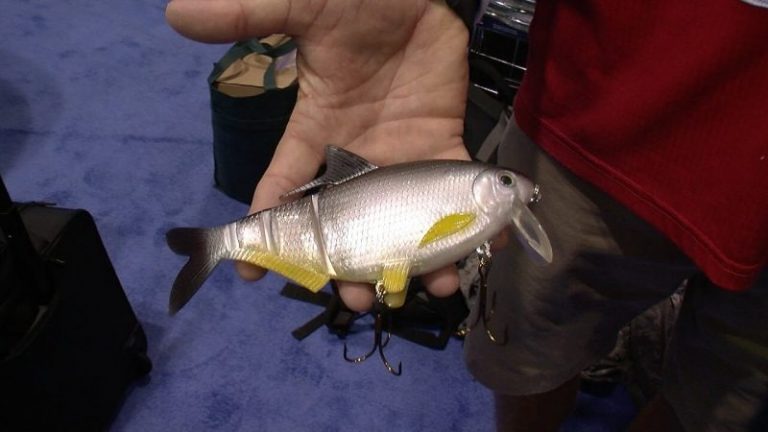 6 Gewang Termahal di ICAST!!