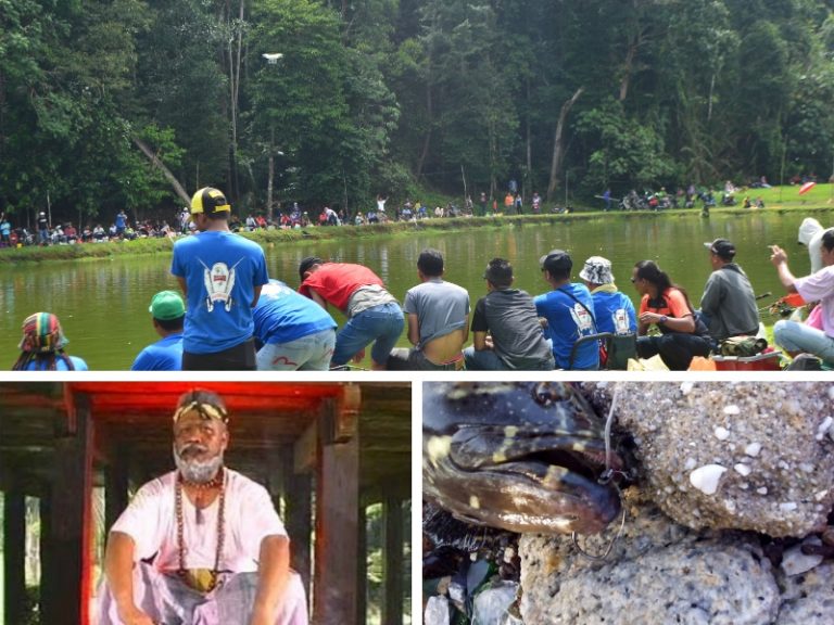 Teknik Menipu Dalam Pertandingan Memancing!!