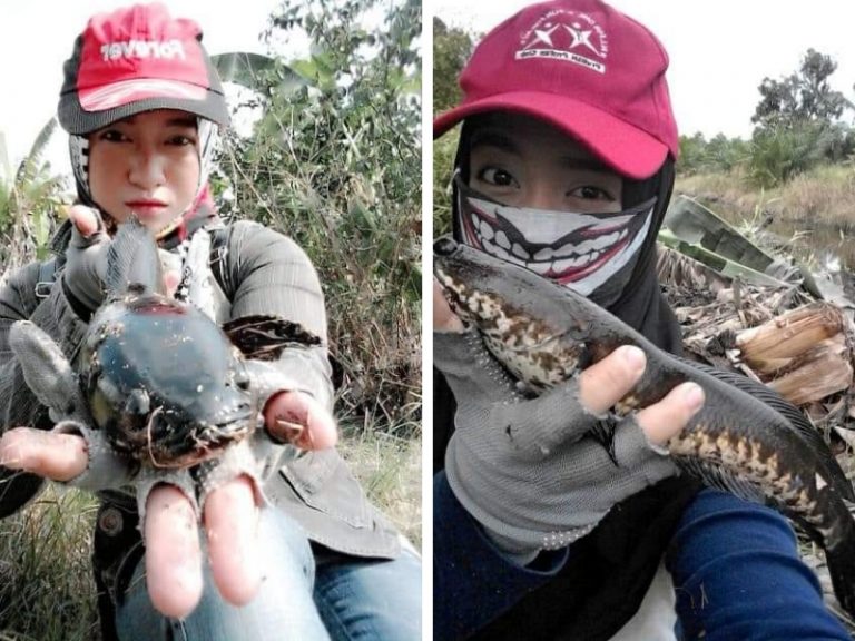 WACANA: Pancingan & Masa Depan Ikan Haruan