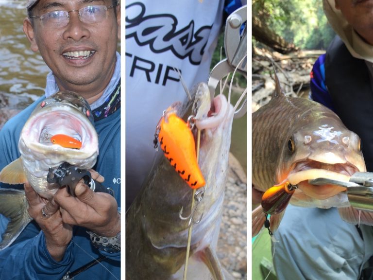 4 Spesies Pelahap Gewang Di Berau!!