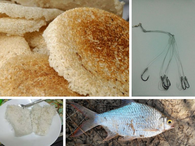 Kerak Nasi Lemak Umpan Ikan Lampam