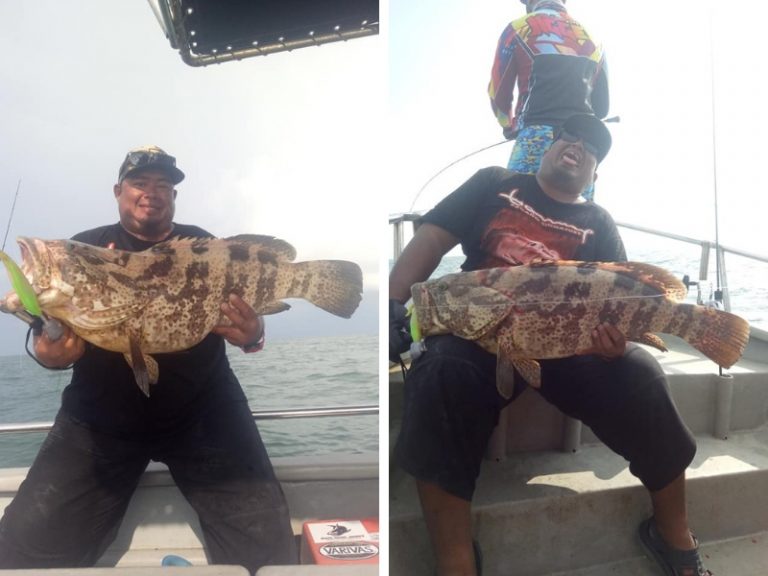 Cara-Cara Memancing Kerapu Boron!!