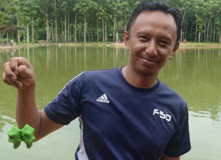 Umpan Pati Minyak Sawit