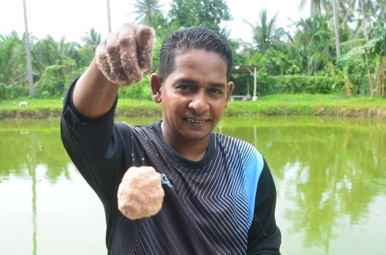 Serbuk Roti Umpan Patin Kolam!!