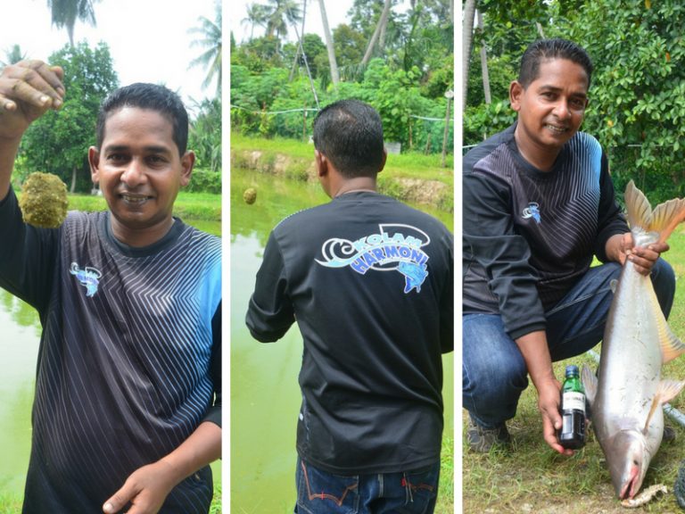 Umpan Patin – Umpan Dedak 920C Original ®