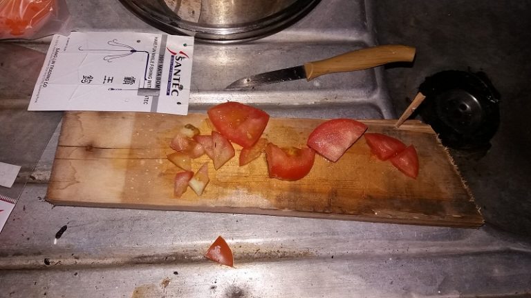 Umpan Buah Tomato Pancing Ikan Kap Rumput ®