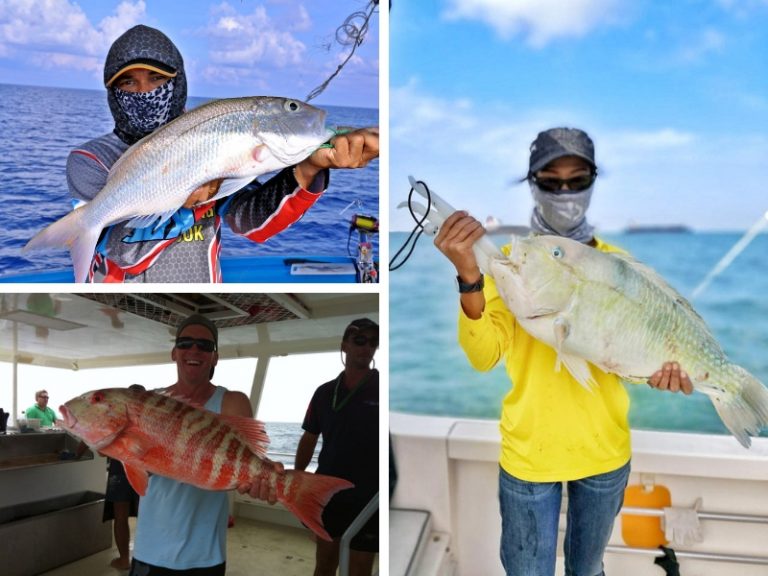 Ikan Sisik Berkualiti Tinggi (part 1/2)!!