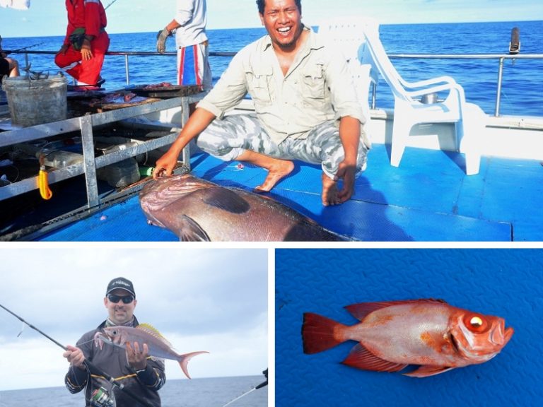 Ikan Sisik Berkualiti Tinggi (part 2/2)!!