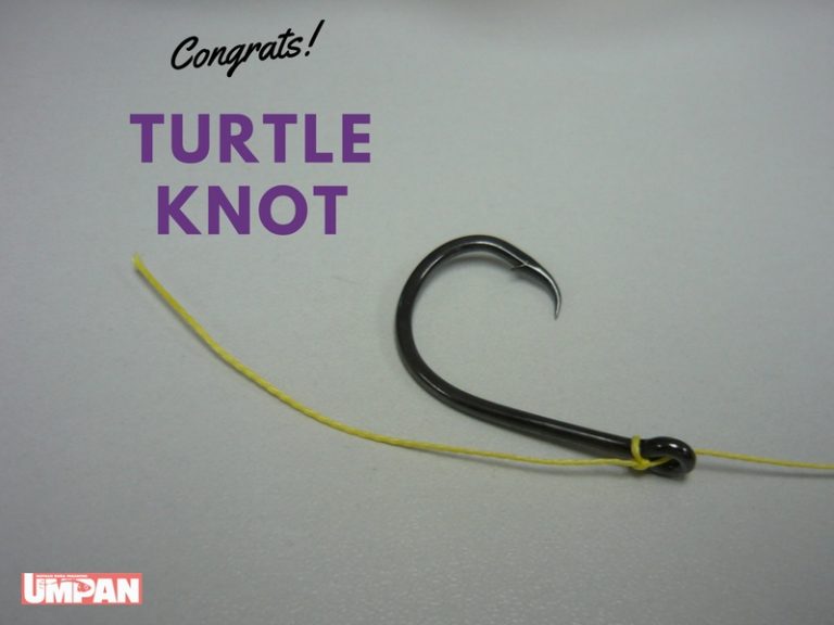 Kelas Asas Memancing – Ikatan Turtle Knot *done
