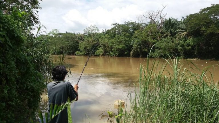 Panduan Memancing Di Sungai Pada Musim Tengkujuh!!