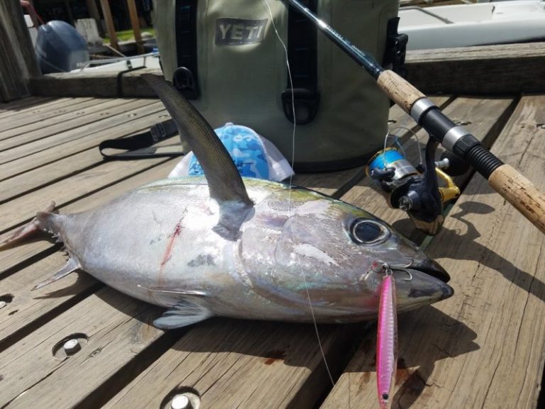 Korang Tanya Umpan Jawab -S8S4- Teknik speed jigging??