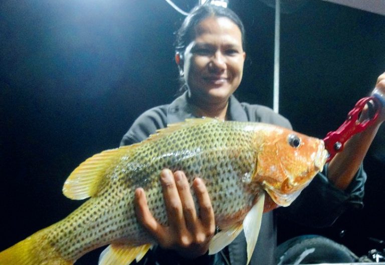 Trip Retro – Jenahak Dara Pulau Mutiara!!