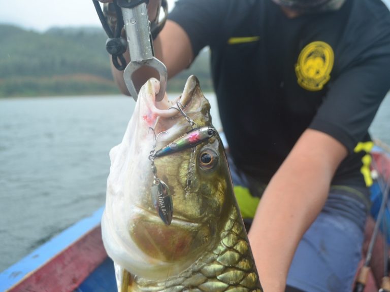 Gewang Tahyul Pancing Sebarau!!